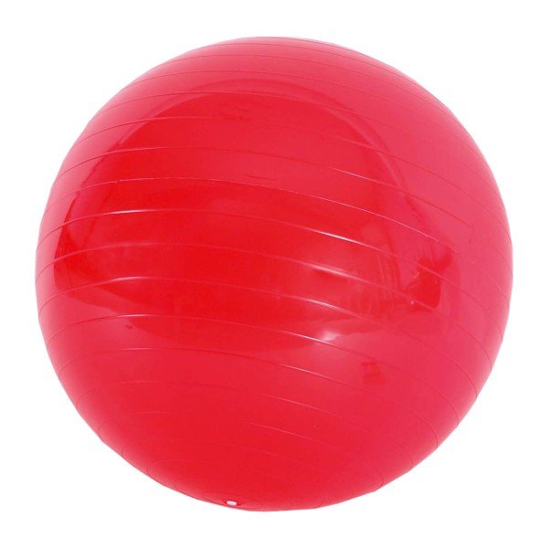 Fitness Ball 65cm For Stability Pilates and Yoga Fitness Ball 65cm For Stability Pilates and Yoga