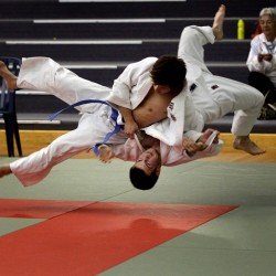 Judo Στρώμα Olympus PROX