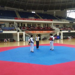 Tatami Puzzle Mat WTF Eva Foam for OCTAGON Taekwondo Court 100x100x2.5cm Tatami Puzzle Mat WTF Eva Foam for OCTAGON Taekwondo Court 100x100x2.5cm