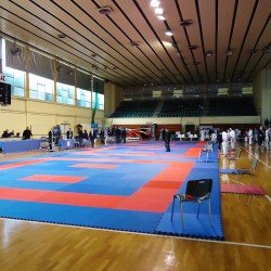 Tatami Puzzle Mat ECONOMY EVA Foam 2cm Tatami Puzzle Mat ECONOMY EVA Foam 2cm