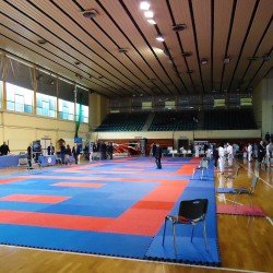 Στρώμα Τατάμι Παζλ ΟΙΚΟΝΟΜΙΚΟ Αφρολέξ 2cm