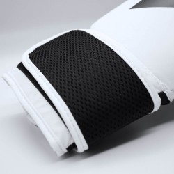 Πυγμαχικά Γάντια adidas POWER 25