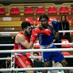 Πυγμαχικά Γάντια adidas WORLD BOXING Licensed - WOBBG1