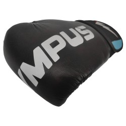 Muay Thai Γάντια Olympus THAI CAMP POM