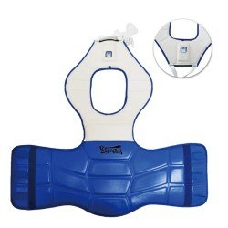 Σύστημα Βαθμολόγησης Taekwondo WT Olympus