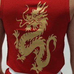 Wushu Sanda Boxing Στολή Olympus FIGHTER